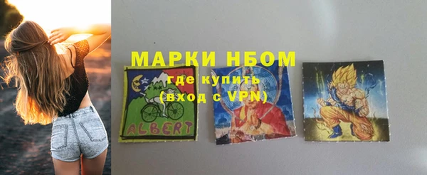 ПСИЛОЦИБИНОВЫЕ ГРИБЫ Вяземский