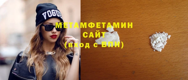 ПСИЛОЦИБИНОВЫЕ ГРИБЫ Вяземский