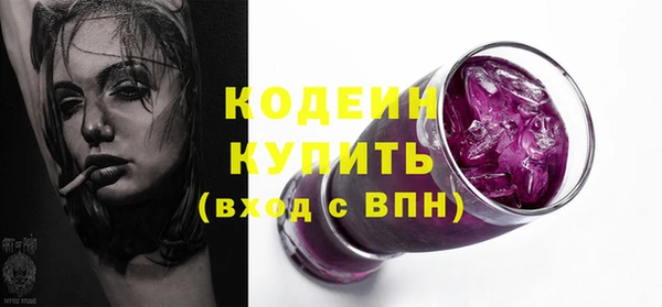 ПСИЛОЦИБИНОВЫЕ ГРИБЫ Вяземский