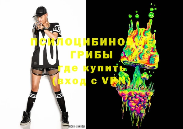 ПСИЛОЦИБИНОВЫЕ ГРИБЫ Вяземский